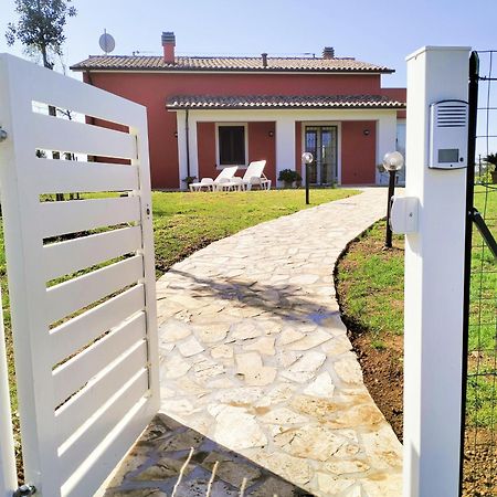 Villetta Fedora Immersa Nel Verde Cecina  Bagian luar foto