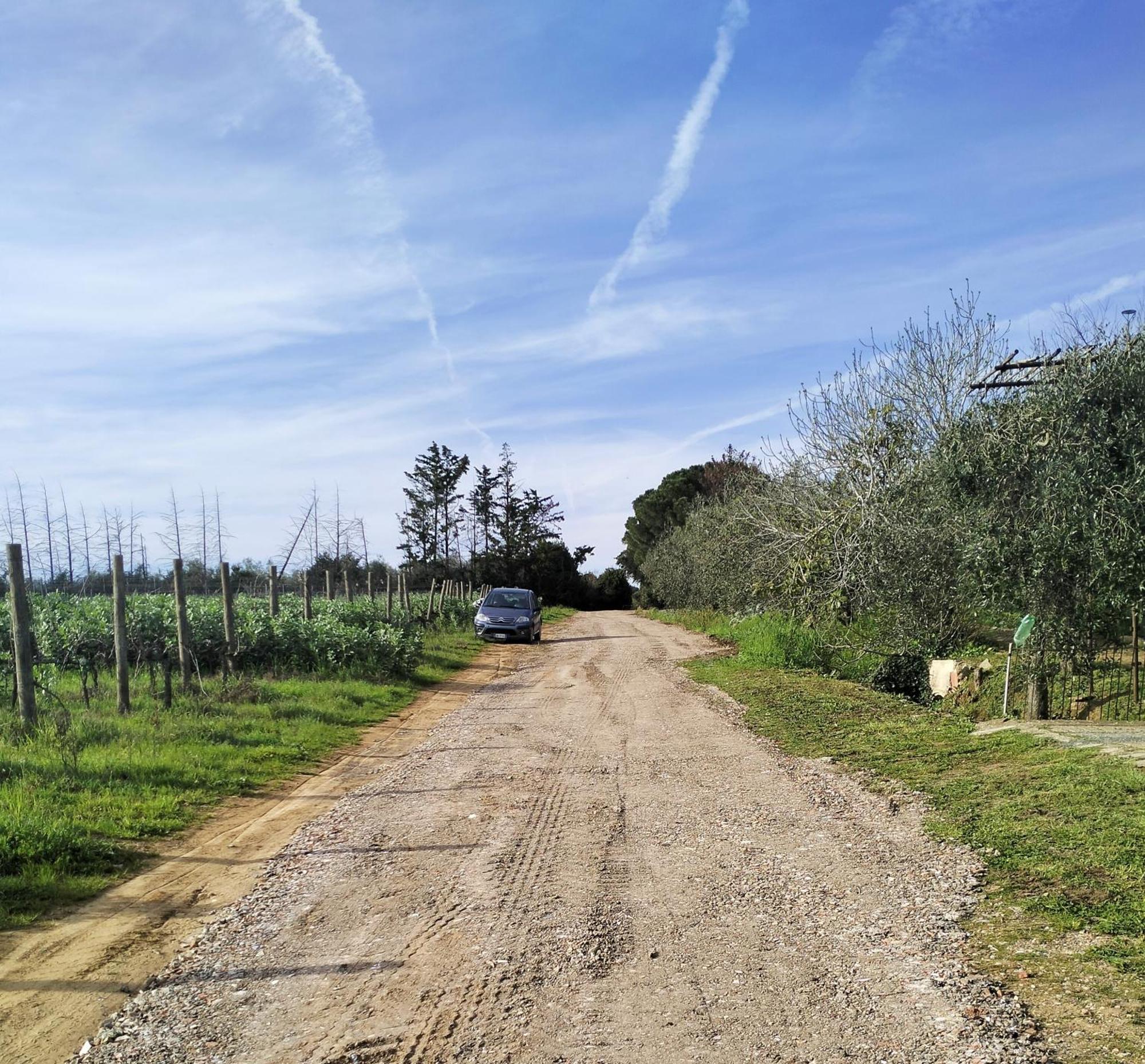 Villetta Fedora Immersa Nel Verde Cecina  Bagian luar foto
